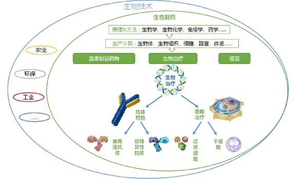 生物技術應用及生物製藥方法模式圖生物製藥(biopharmaceutical)是指