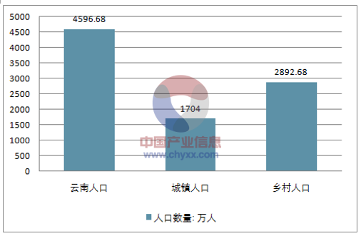 云南人口