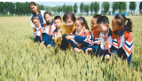 我国食物浪费量约为每年1700万至1800万吨