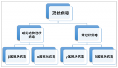 蝙蝠吉不吉利咱不知道，能传染什么病得看看[图]