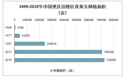 中国青菜头行业现状产地集中价格波动收购加工量稳定外运鲜销均价高于