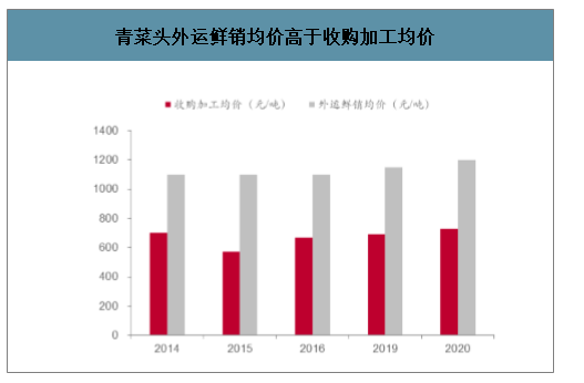 中国青菜头行业现状产地集中价格波动收购加工量稳定外运鲜销均价高于