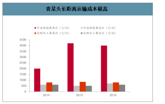 中国青菜头行业现状产地集中价格波动收购加工量稳定外运鲜销均价高于