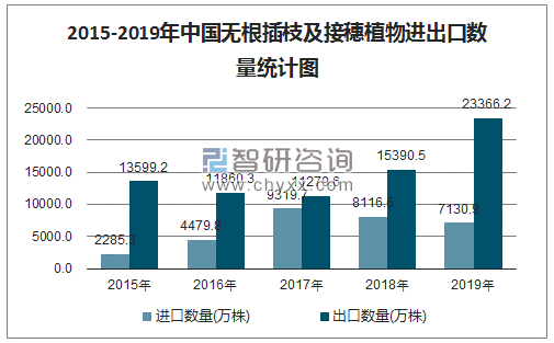 2015-2019年中国无根插枝及接穗植物进出口数量统计图
