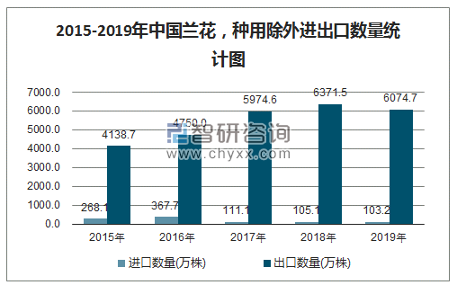 2015-2019年中国兰花，种用除外进出口数量统计图