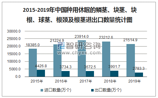 2015-2019年中国种用休眠的鳞茎、块茎、块根、球茎、根颈及根茎进出口数量统计图