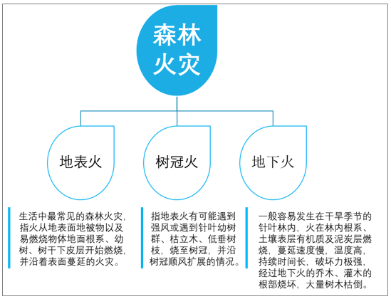 19年中国森林火灾种类 发生原因 发生现状及森林防火对策分析 图 产业信息网