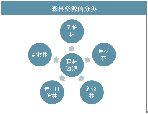 按人为影响的程序的分类,按林木特征的分类,按森林的自然属性的分类