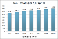 平菇在中国农村得到迅速推广，2020年产量或将进一步扩大[图]
