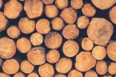 2020年中国木材产量为8727万立方米，进口数量远大于出口数量[图]