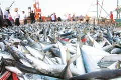 2020年广东省渔业发展情况分析：水产品产量为880.32万吨[图]