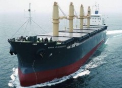 2020年中国干散货船运力分析：干散货运输船舶达1973艘，运力达6794.4万载重吨[图]