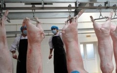 2020年中国生猪屠宰行业屠宰情况及企业分布分析：国家政策的出台促进行业逐步规范[图]