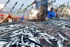 2020年中国海洋渔业产业发展现状、主要面临问题及管理优化措施分析[图]