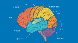 2020年全球及中国脑科学产业发展概况及发展趋势分析[图]