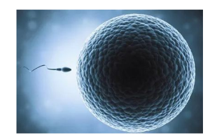 2020中国辅助生殖概况分析：发展较快、增设辅助生殖医疗机构与人类精子库[图]