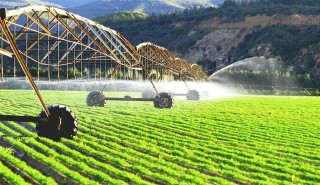 山西省打造“全链条”产业融合模式，将传统小农生产引入现代农业的轨道