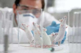 2021年中国动物实验机构现状分析：有许可证实验动物企业为24家[图]