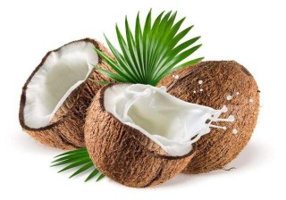 2020年海南省椰子种植及生产情况分析：文昌市椰子种植面积居海南省第一，占比达43.5%[图]