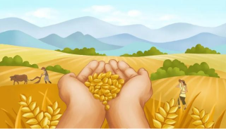 2021年黑龙江粮食发展现状及相关政策分析：黑龙江粮食产量连续11年位居全国第一[图]