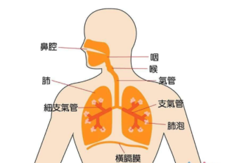 2020年中国呼吸系统疾病病人出院年龄结构分析：急性上呼吸道感染、流行性感冒、肺炎出院患者中5岁以下占比大[图]