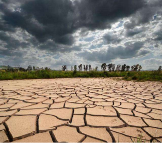 2020年中国干旱灾害受灾面积、饮水困难人口数量及造成经济作物损失分析[图]