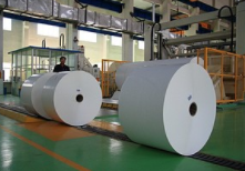 造纸行业：如何看待本轮浆系提价？