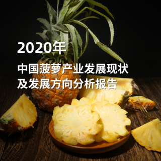 2020年中国菠萝产业发展现状及发展方向分析报告