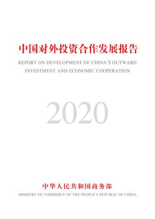 2020年中国对外投资合作发展报告
