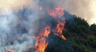 2021年中国森林火灾发生起数、受灾面积、伤亡人数及森林火灾预防工作态势分析[图]