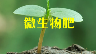中国微生物肥料发展现状：绿色农业发展下，微生物肥料迎机遇