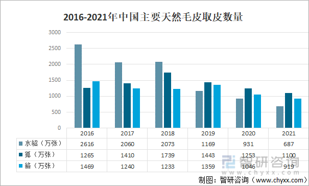 2016-2021年中国主要天然毛皮取皮数量