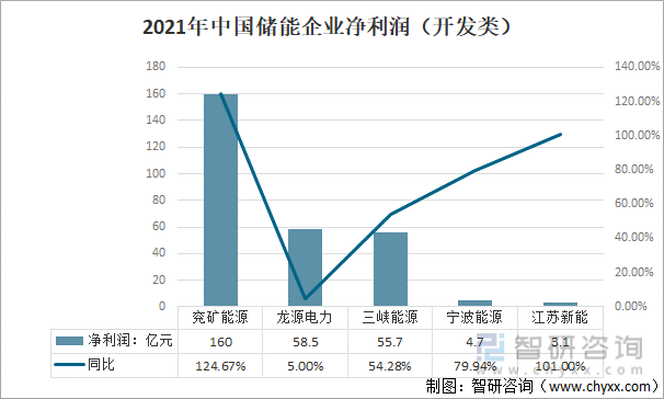 2021年中国储能企业净利润（开发类）
