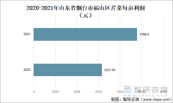 2020-2021年山东省烟台市福山区芹菜每亩利润