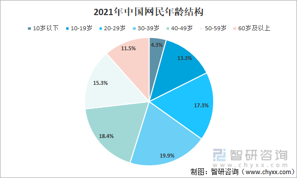 2021年中国网民年龄结构