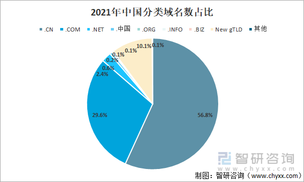 2021年中国分类域名数占比