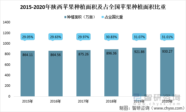 2015-2020年陕西苹果种植面积及占全国苹果种植面积比重