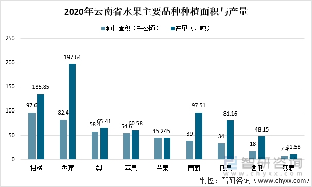 2020年云南省水果主要品种种植面积与产量