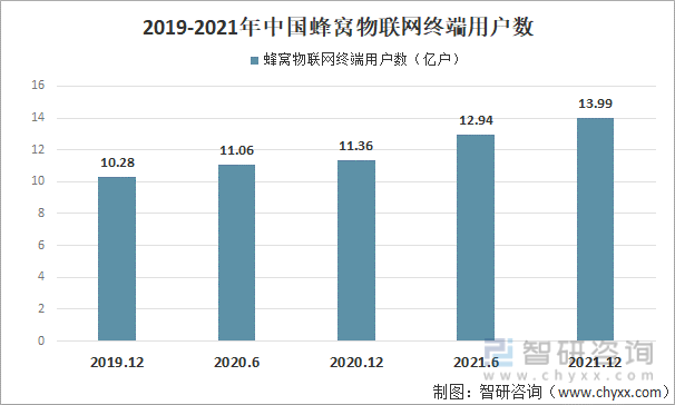 2019-2021年中国蜂窝物联网终端用户数