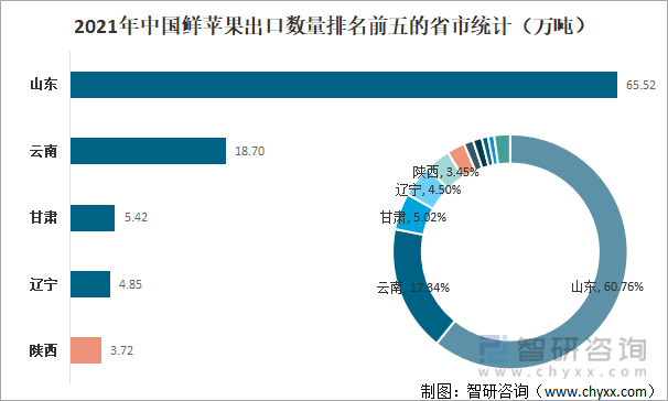 2021年中国鲜苹果出口数量排名前五的省市统计（万吨）