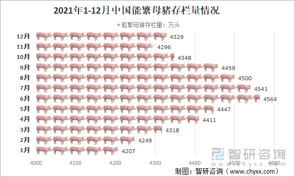 2021年1-12月中国能繁母猪存栏量情况