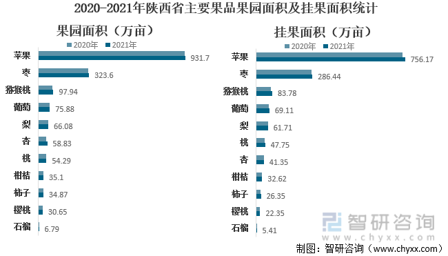 2020-2021年陕西省主要果品果园面积及挂果面积统计