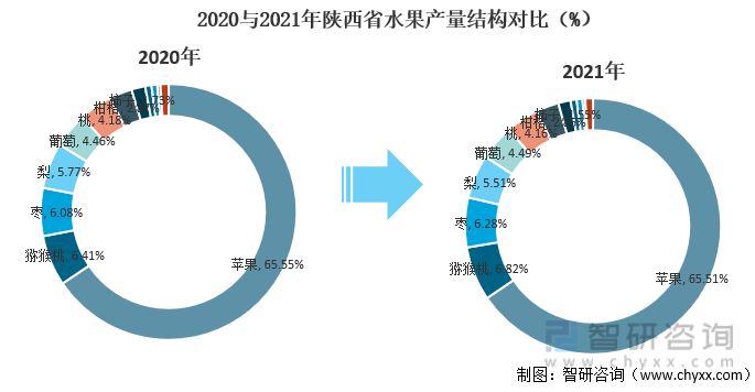 2020与2021年陕西省水果产量结构对比（%）