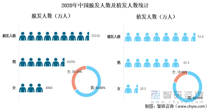 2020年中国脱发人数及植发人数统计