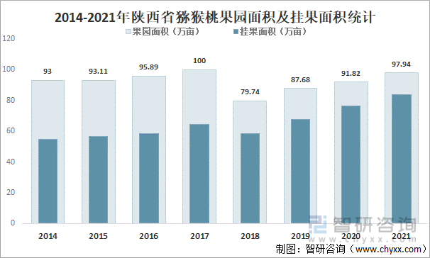 2014-2021年陕西省猕猴桃果园面积及挂果面积统计