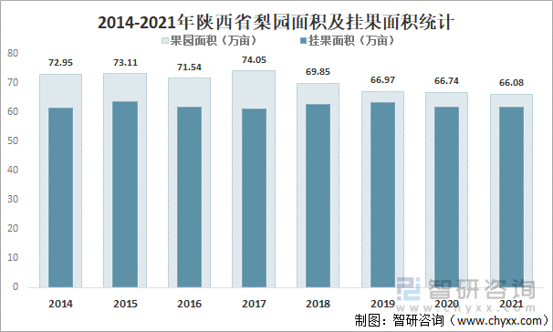 2014-2021年陕西省梨园面积及挂果面积统计