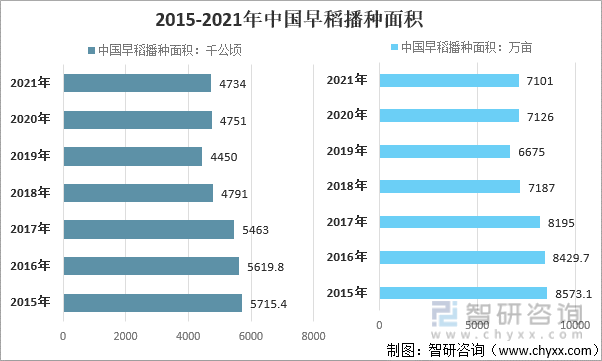 2015-2021年中国早稻播种面积
