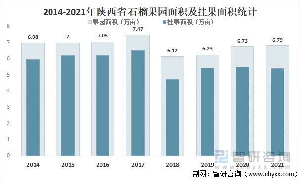2014-2021年陕西省石榴果园面积及挂果面积统计