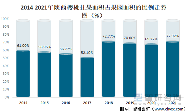2014-2021年陕西樱桃挂果面积占果园面积的比例走势图