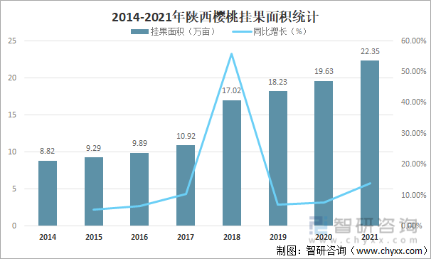 2014-2021年陕西樱桃挂果面积统计